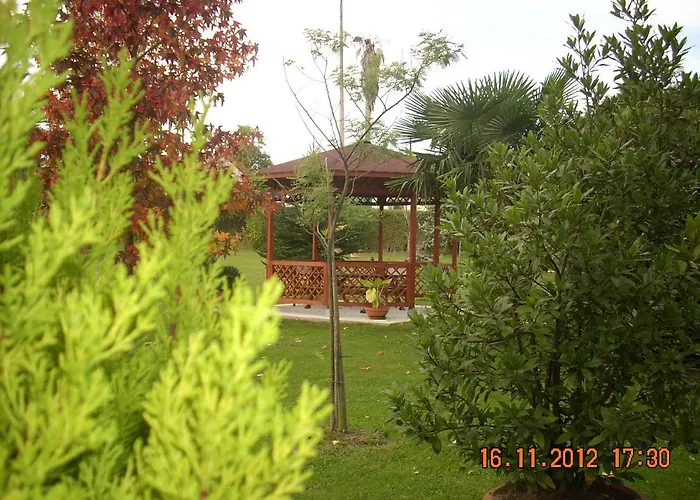 La Casa De Mamasita *